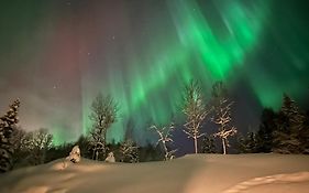Tosbotn Camping&cottages
